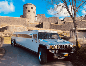 Företagsnamnet är Royal Limousine Gbg AB
