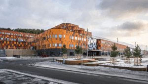 Företagsnamnet är Serneke