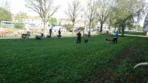 Kålltorps Hundställe AB