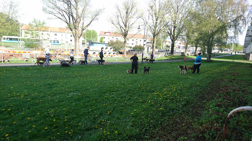 Kålltorps Hundställe AB