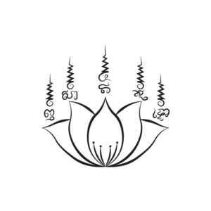 Lotus Fight Academy