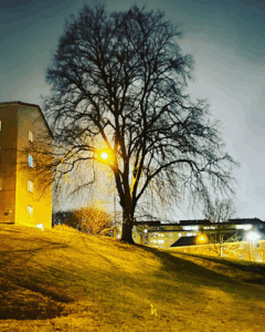 Öppna förskolan Draken