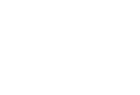 Team Linda Falck